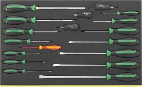 Stahlwille 96831179 - JUEGO DE DESTORNILLADORES EN BANDEJA TCS