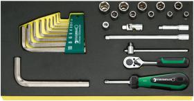 Stahlwille 96838176 - BANDEJA TCS C/ JUEGO HERRAMIENTAS DE ACCIONAMIENTO