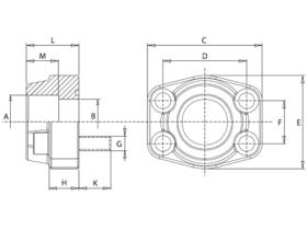 Bridas SAE BSS306 - BRIDA SAE 3000PSI PARA SOLDAR 3/8" SAE (FS080038)